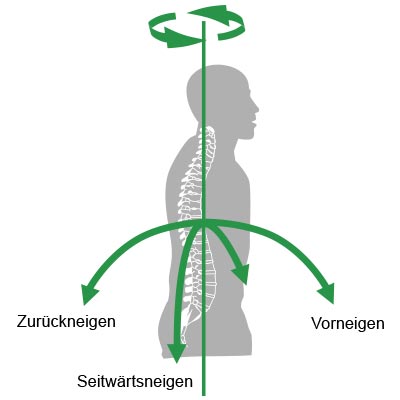 Unser Rücken ist ein ausgeklügeltes und enorm bewegliches System.